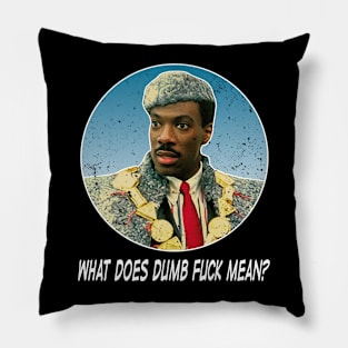 From Zamunda With Love Coming To America's Heartfelt Tale Pillow