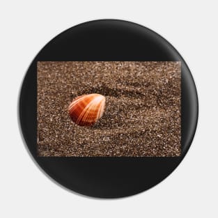 Seashell - Pinamar, Argentina Pin