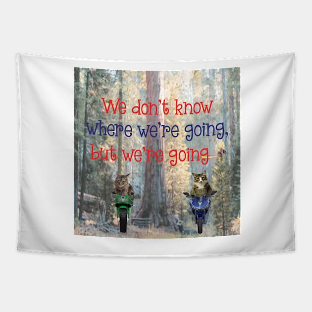 We don't know where we're going, but we're going Maine Coon cat Tapestry by TanoshiiNeko