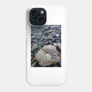 Limpet on a Stony Shore Phone Case