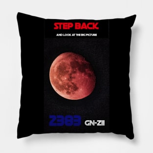 Step Back And Look At The Big Picture 2383 GN-z11 Pillow