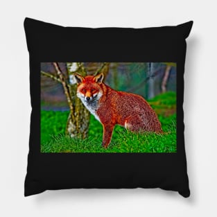 Arty Mr Red Fox Pillow