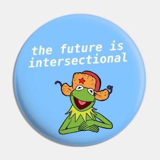 The Future Is Intersectional - Kermit Meme Pin