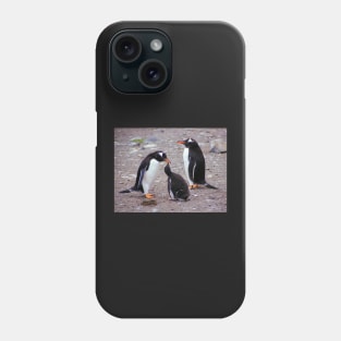 Gentoo Penguin Family Feeding Chick Phone Case