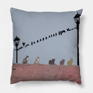 Cats And Birds Pillow