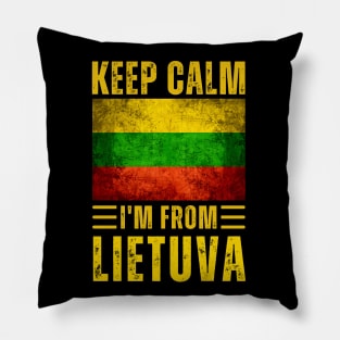Lithuanian Pillow