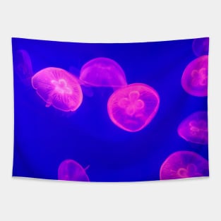 Luminescent Jellyfish Tapestry