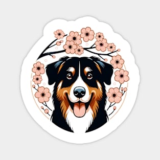 Beauceron Celebrates Spring Amidst Cherry Blossoms Splendor Magnet