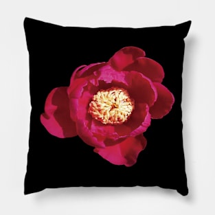 Red Peony Pillow