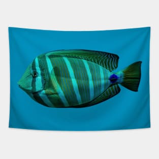 Sailfin tang Tapestry