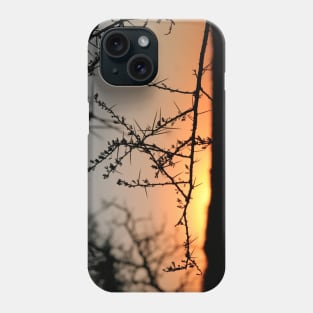 African sunset Phone Case