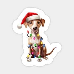 Christmas Italian Greyhound Magnet