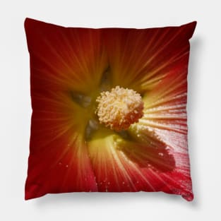 Floral Close Up Pillow