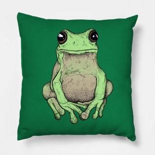 Cute Grumpy Frog Pillow