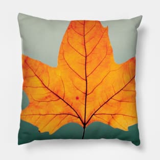 Nature Autumn Pillow