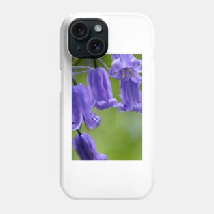 Bluebells (Hyacinthoides non-scripta) (B570/1540) Phone Case