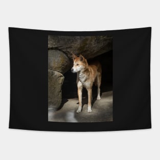 Dingo: Australian Native Dog Tapestry