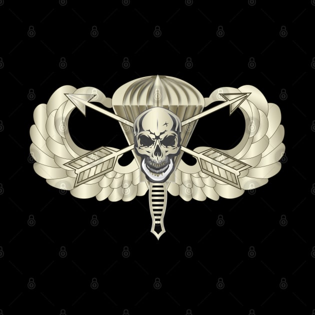 Basic Airborne w Crossed Arrrows Dagger Skull by twix123844