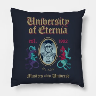 MSc in Universe Model 12 Pillow