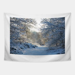 Winter Walk Tapestry