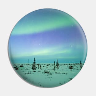 Frozen Arctic Auroras Pin