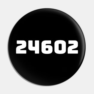 24602 Pin