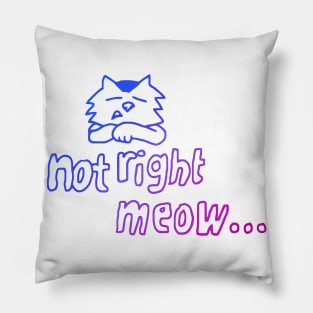 Not Right Meow Kitty Pillow