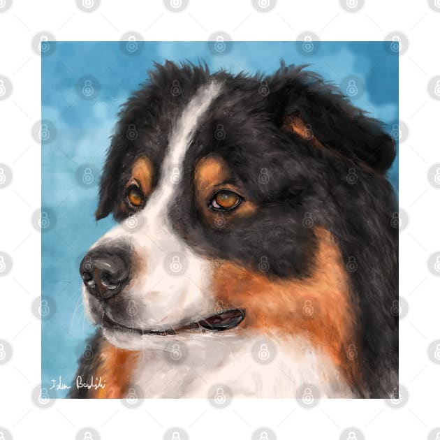 Painting of a Gorgeous Australian Shepherd by ibadishi