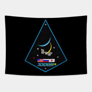 Black Panther Art - NASA Space Badge 159 Tapestry