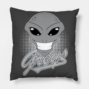 The Greys Pillow