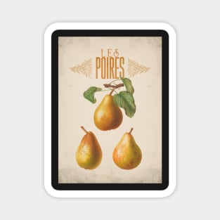 Old fruit poster - Pears - Vintage - retro Magnet