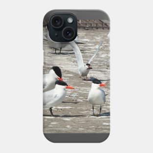 Caspian Tern Flock Resting On a Dock Phone Case