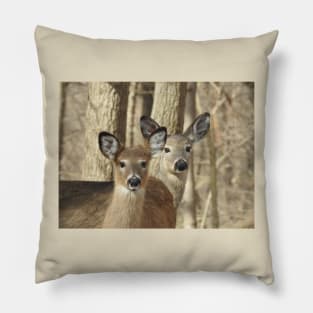 Whitetail deer, doe and babe, wildlife photography Pillow