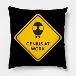 Genius at Work Funny Science Gift Pillow