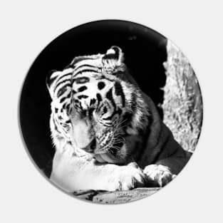 Year of the tiger 2022 - 1 Pin