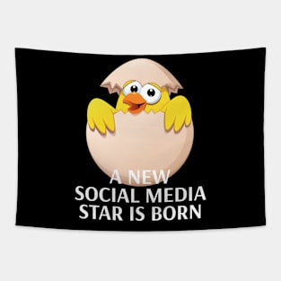 World Record Egg A New Social Media Star Is Born Tapestry