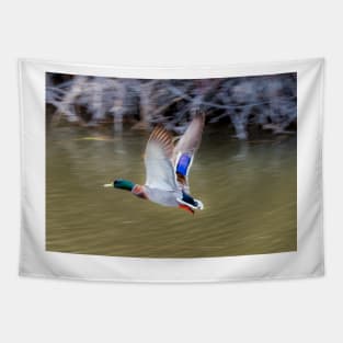 Mallard Flight Tapestry