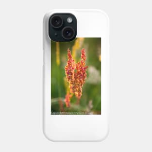 Wild pink flowers from Meadow flower collection Phone Case