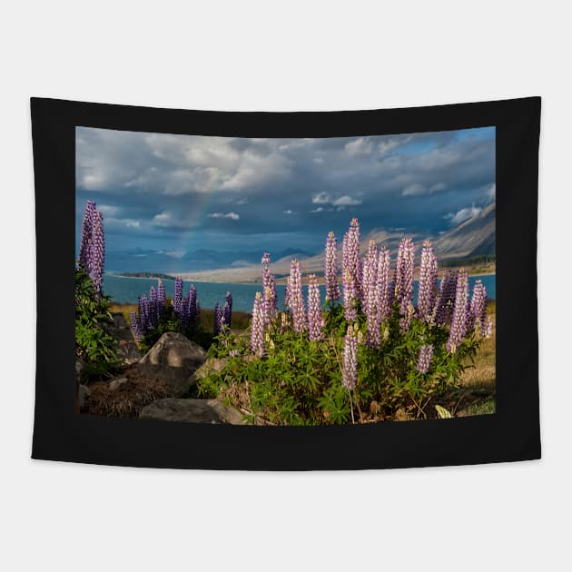 Lupins at the End of the Rainbow Tapestry by krepsher