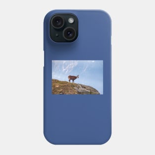 Mountain Chamois in High Tatras National Park Phone Case