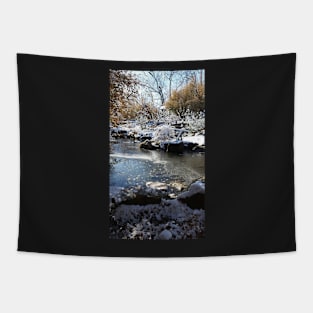 Snowy Pond Tapestry