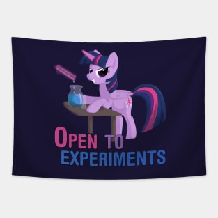 Open to experiments Tapestry