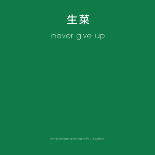 Never Give Up T-Shirt