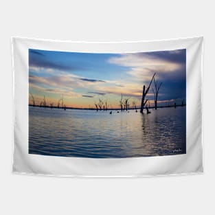 Lake Mulwala, Yarrawonga, Victoria, Australia. Tapestry