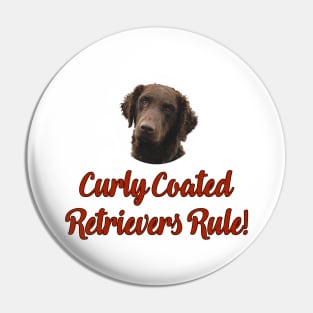 Curly Coated Retrievers Rule! Pin