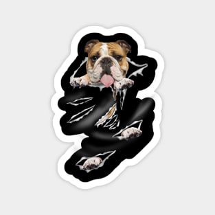 Bulldog Face Mask Magnet