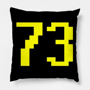 73 OSRS Meme Pillow