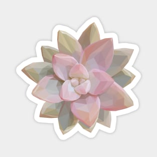 Pink Succulent Magnet