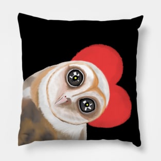 Big-Eyed Owl With A Red Heart Pillow