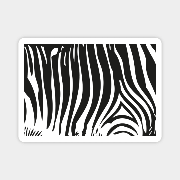 Zebra Stripes | Zebra Print | Animal Print | Black and White | Stripe Patterns | Striped Patterns | Magnet by Eclectic At Heart